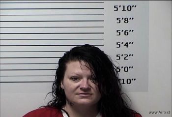 Amanda Leigh Evans Mugshot