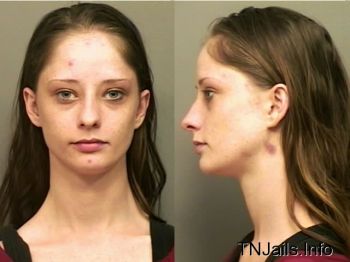 Amanda  Freeman Mugshot