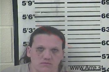 Amanda Lee Holmes Mugshot