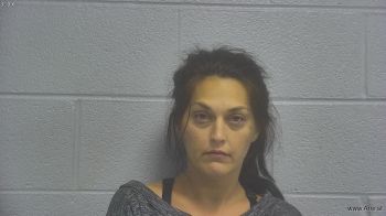 Amber Lynn Wills Mugshot