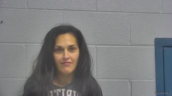 Amber Lynn Wills Mugshot