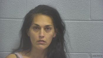 Amber Lynn Wills Mugshot