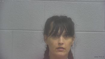 Amber Lynn Wills Mugshot