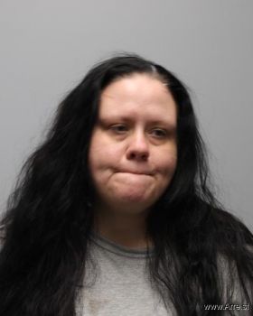 Amber Dawn Wilson Mugshot