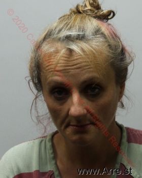 Amy Ericka Arnett Mugshot