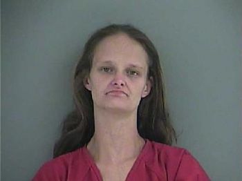 Amy Sue Cook Mugshot