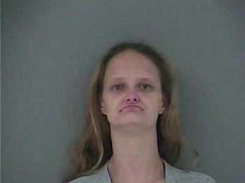 Amy Sue Cook Mugshot