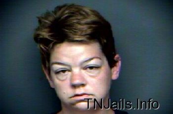 Amy Elizabeth Everett Mugshot