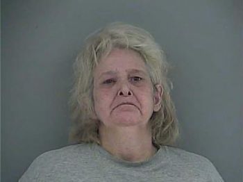 Amy Lynne Nicholson Mugshot