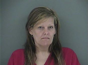 Amy Danyelle Wilson Mugshot