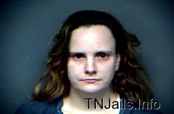 Amy Kay Wilson Mugshot