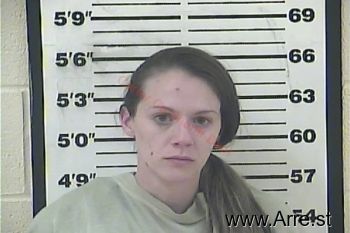 Ashley Breanne Bradford Mugshot