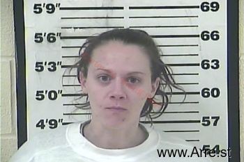 Ashley Breanne Bradford Mugshot