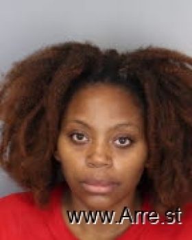 Ashley N Burnside Mugshot