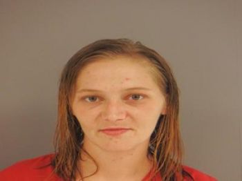 Ashley Nicole Collins Mugshot