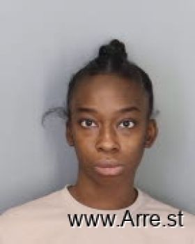 Ashley Nichole Gill Mugshot