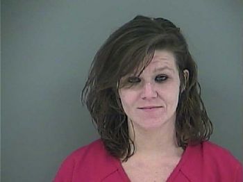 Ashley Nacole Lee Mugshot