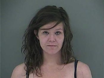 Ashley Nacole Lee Mugshot