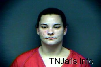 Ashley Marie Mitchell Mugshot