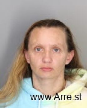 Ashley Nicole Perkins Mugshot