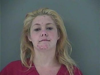 Ashley Dawn Sands Mugshot