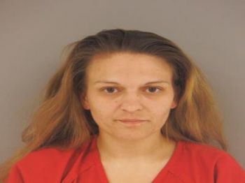 Ashley Elizabeth Seals Mugshot