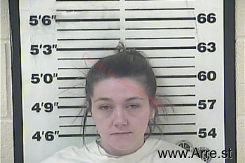 Ashley Nicole Sims Mugshot