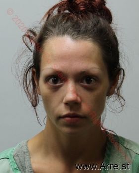 Ashley Elizabeth Wilson Mugshot