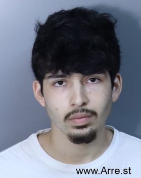 Alan Dennis Martinez Mugshot