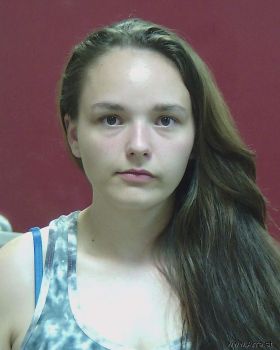 Alyssa  Hendrickson Mugshot