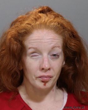 Amanda Nichole Garrison Mugshot