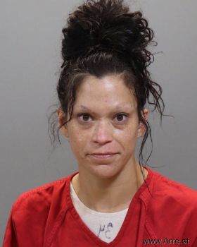 Amanda R Middleton Mugshot