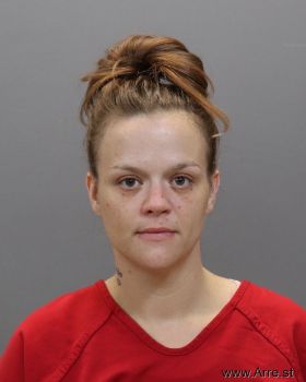 Amy Ann Ellison Mugshot