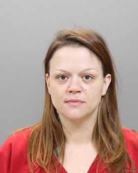 Amy Ann Ellison Mugshot