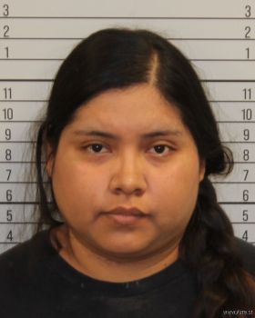 Anali  Silva Mugshot