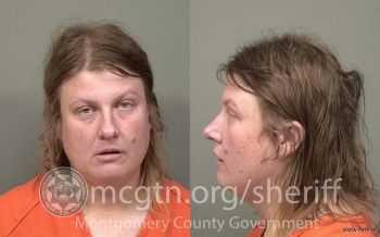 April Dawn Hawkins Mugshot