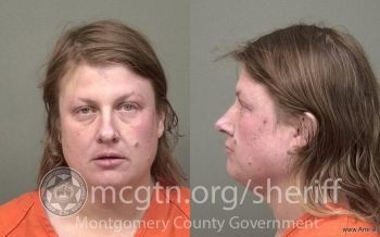 April Dawn Hawkins Mugshot