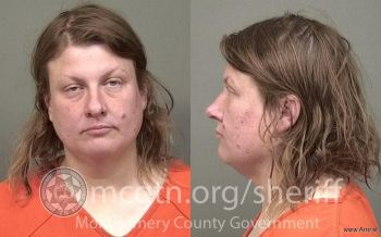 April Dawn Hawkins Mugshot