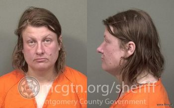 April Dawn Hawkins Mugshot