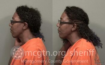 Ashley Alexandria Shorty Mugshot