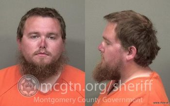 Austin Lee Snelling Mugshot