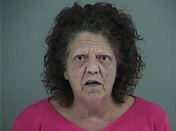 Barbara Ann Wilson Mugshot