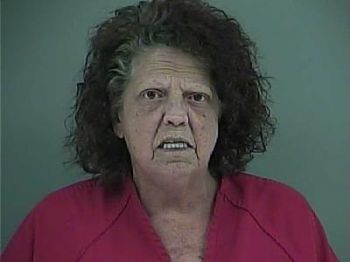 Barbara Ann Wilson Mugshot