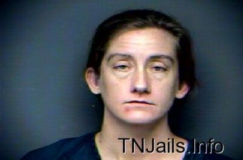 Brandy Renee Kreis Mugshot