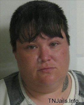 Brandy  Wilson Mugshot