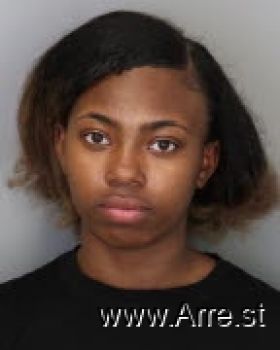 Breana  Johnson Mugshot