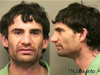 Brian  Bagatini Mugshot