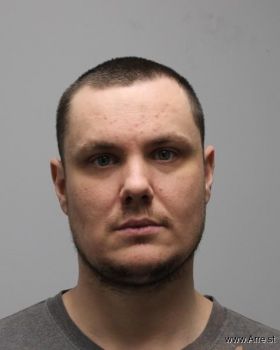 Brian Austin Morgan Mugshot