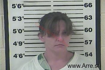 Brianna Lee Bowman Mugshot