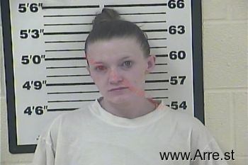 Brittany Danielle Nidiffer Mugshot